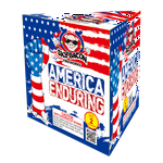 Product Image for America Enduring