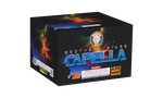 Product Image for Brothers Stars - Capella