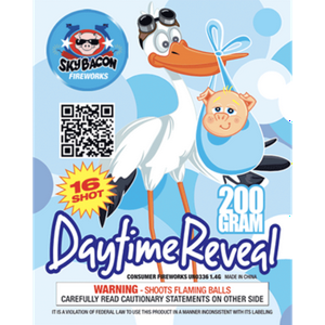 Daytime Reveal - Blue Gender Reveal