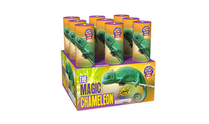 The Magic Chameleon